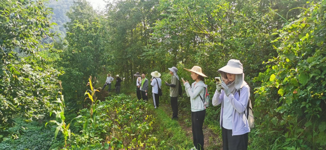 公路事業(yè)部鮑夢捷、彭格菲-辰鳳項目項目外業(yè)調(diào)查.jpg